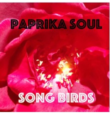 Paprika Soul - Song Birds