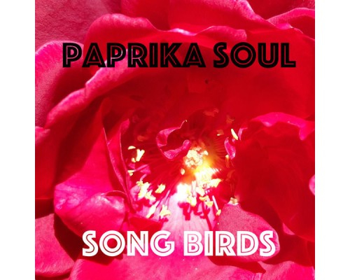 Paprika Soul - Song Birds