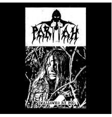 Pariiah - Swallowed By Fog