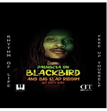 Pasnbesa - Pasnbesa On Black Bird & Big Slap Riddim