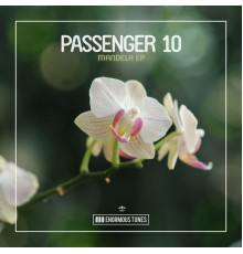 Passenger 10 - Mandela