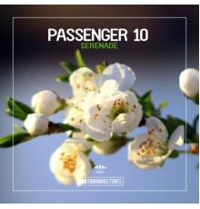 Passenger 10 - Serenade