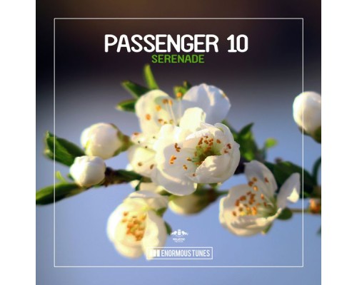 Passenger 10 - Serenade