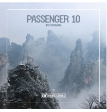 Passenger 10 - Microban