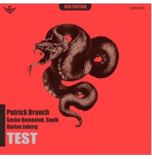 Patrick Branch - Test