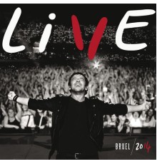 Patrick Bruel - Live 2014