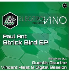 Paul Ant - Strick Bird