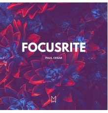 Paul Cesar - Focusrite