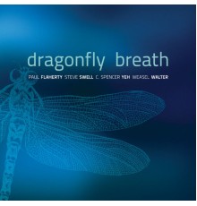 Paul Flaherty - Dragonfly Breath