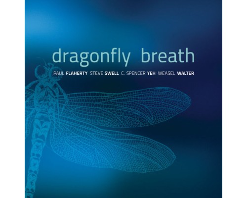 Paul Flaherty - Dragonfly Breath