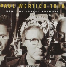Paul Wertico Trio - Don't Be Scared Anymore