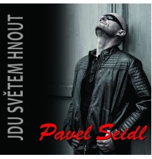Pavel Seidl - Jdu Světem Hnout