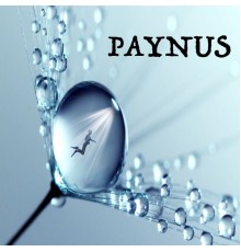 Paynus - Paynus