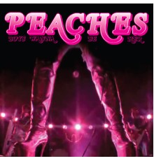 Peaches - Boys Wanna Be Her