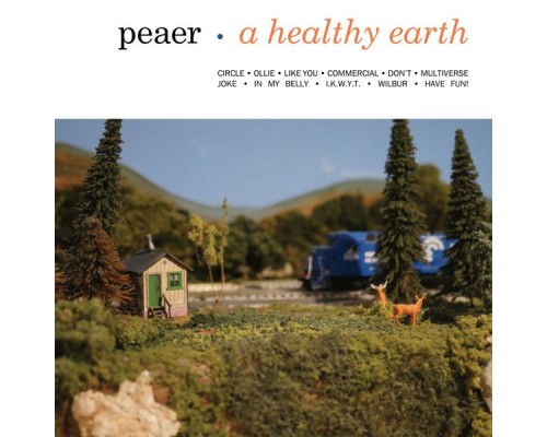 Peaer - A Healthy Earth