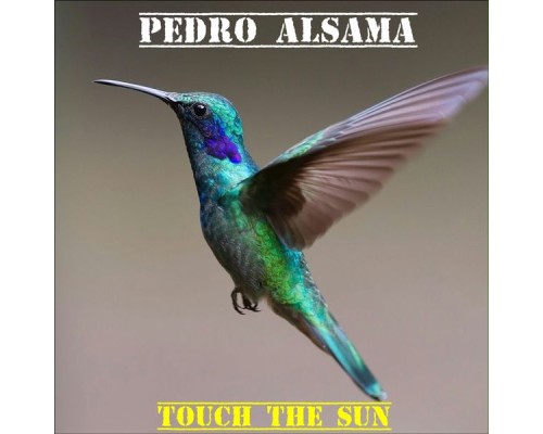 Pedro Alsama - Touch the Sun