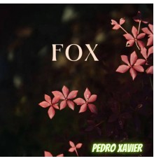 Pedro Xavier - FOX