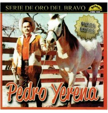 Pedro Yerena - Puros Exitos