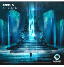 Peetu S - Afterlife