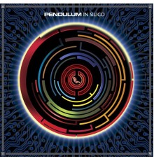 Pendulum - In Silico