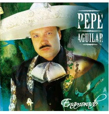 Pepe Aguilar - Enamorado