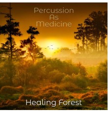 Percussion As Medicine - Healing Forest