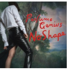 Perfume Genius - No Shape