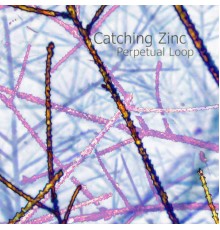 Perpetual Loop - Catching Zinc