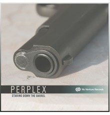 Perplex (DNB) - Staring Down The Barrel (Original Mix)