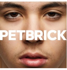 Petbrick - I