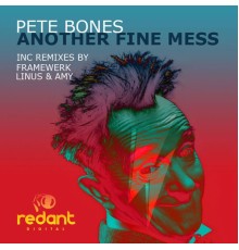 Pete Bones - Another Fine Mess