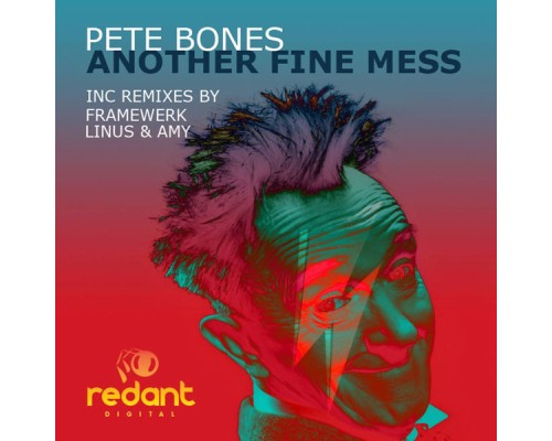 Pete Bones - Another Fine Mess