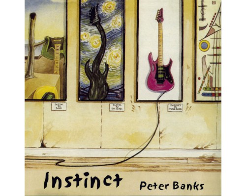 Peter Banks - Instinct