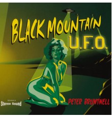 Peter Bruntnell - Black Mountain U.F.O.