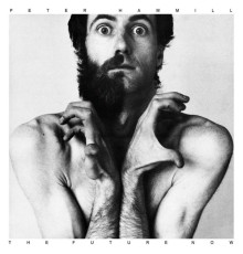 Peter Hammill - The Future Now