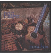 Peter Mayer - Musicbox