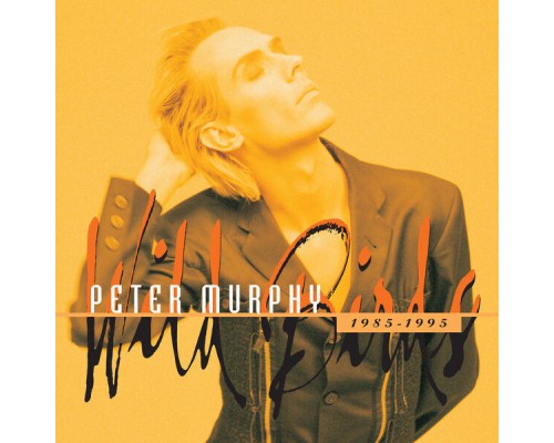 Peter Murphy - Wild Birds