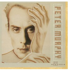 Peter Murphy - Love Hysteria