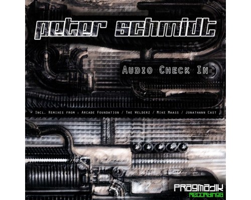 Peter Schmidt - Audio Check In