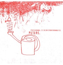 Peters. - Posteingang 17,73 cm Strukturanalyse