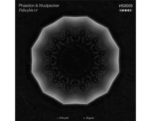 Phaedon, Wudpecker - Psilocybin (Original Mix)