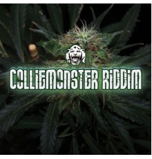 Pharfar - Colliemonster Riddim