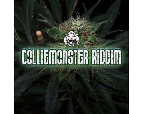 Pharfar - Colliemonster Riddim