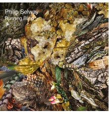 Philip Selway - Running Blind