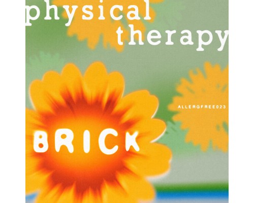 Physical Therapy - Brick