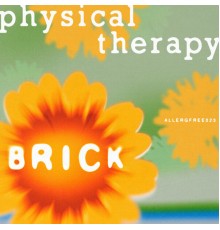 Physical Therapy - Brick