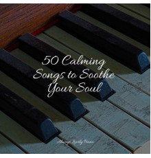 Piano Bar, Restaurant Background Music, Calm Music for Studying - 50 Calming Songs to Soothe Your Soul