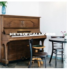 Piano Lovers - Keys Of Calmness