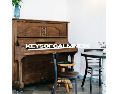 Piano Lovers - Keys Of Calmness