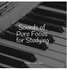 Piano Shades, Piano Mood, Soothing Piano Collective - Sounds of Pure Focus for Studying